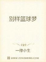 《别样篮球梦》