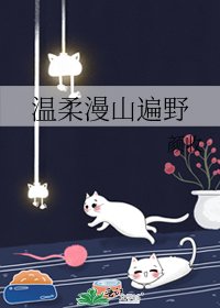《温柔漫山遍野》